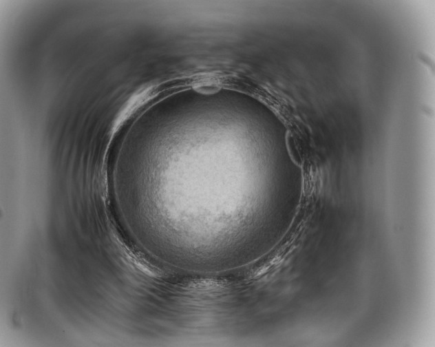 X0000098020198200803281341