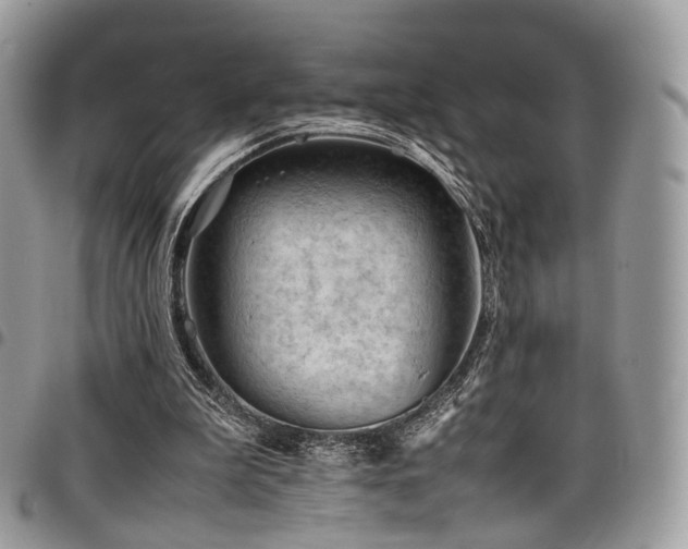 X0000098020199200803281341