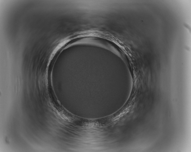 X0000098020200200803281341