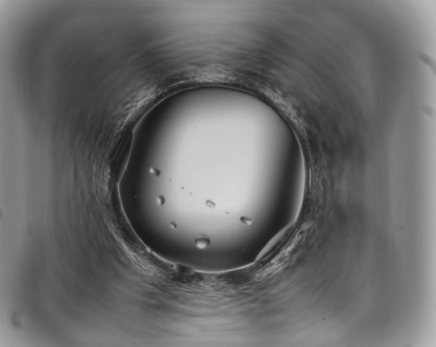 X0000098020201200803281341