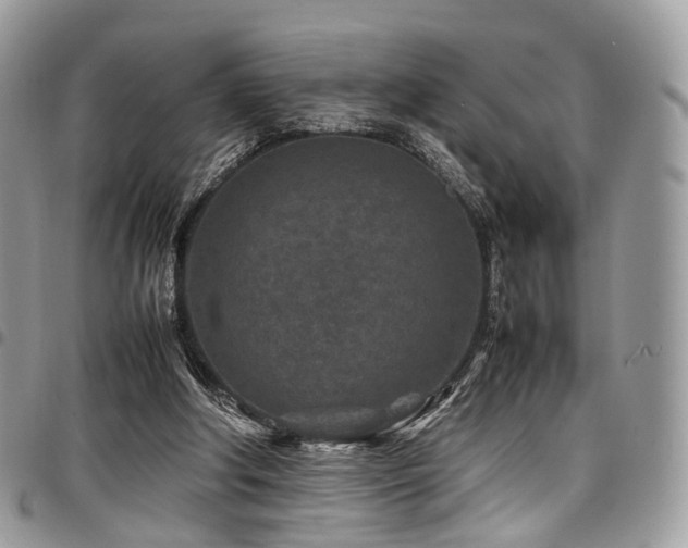 X0000098020202200803281341