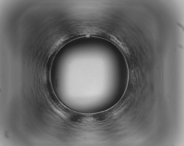 X0000098020203200803281341