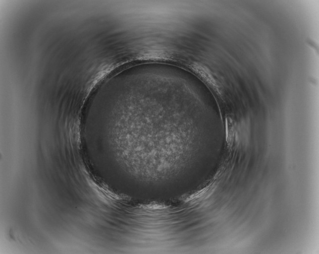 X0000098020204200803281341