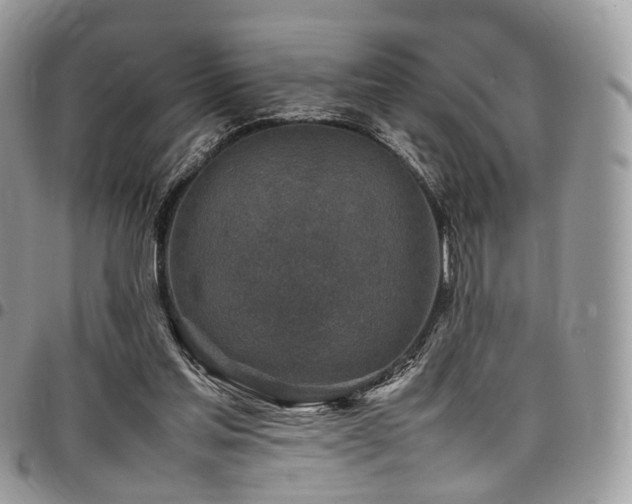 X0000098020205200803281341