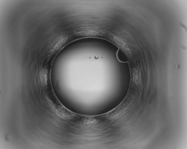 X0000098020206200803281341