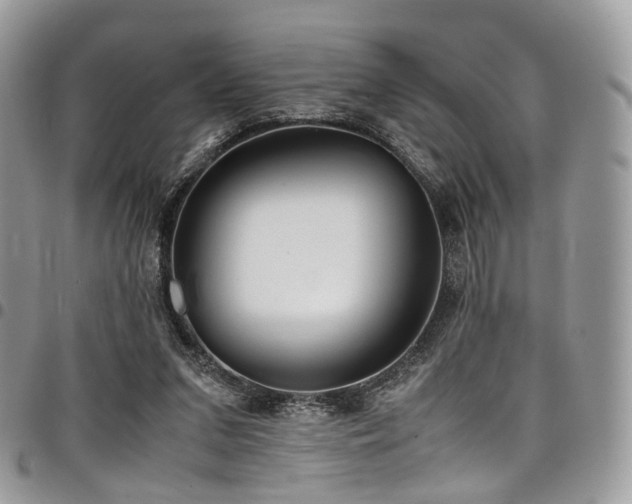 X0000098020207200803281341