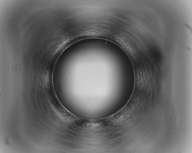 X0000098020208200803281341