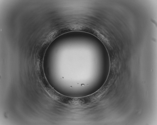 X0000098020209200803281341