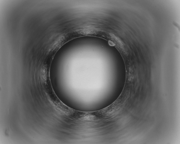 X0000098020210200803281341