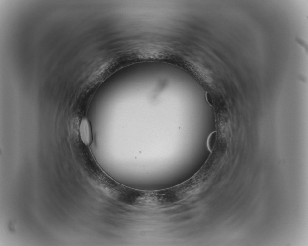 X0000098020211200803281341