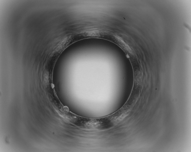 X0000098020213200803281341