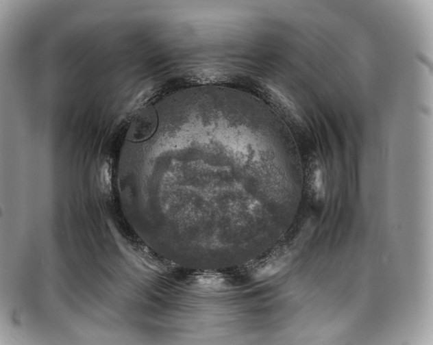 X0000098020214200803281341