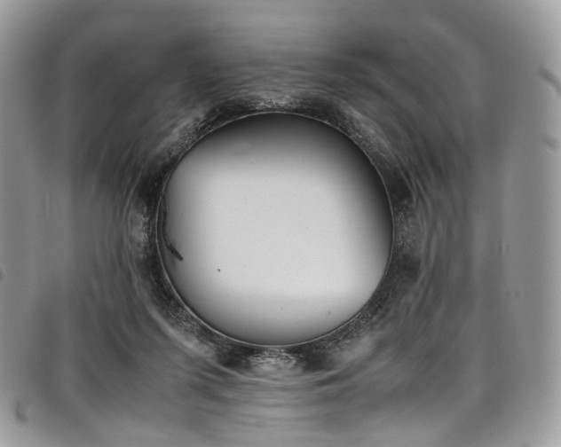 X0000098020215200803281341