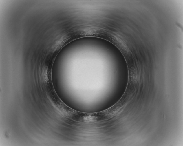 X0000098020216200803281341