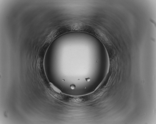 X0000098020217200803281341