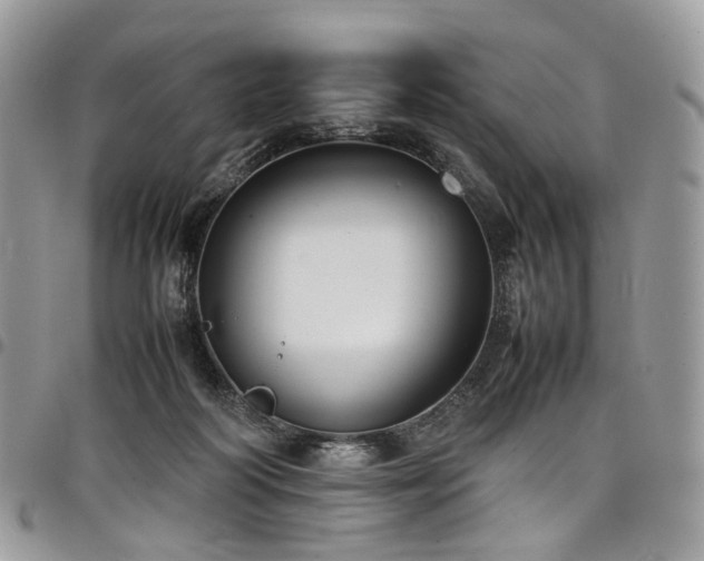 X0000098020218200803281341