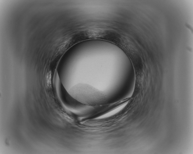 X0000098020219200803281341