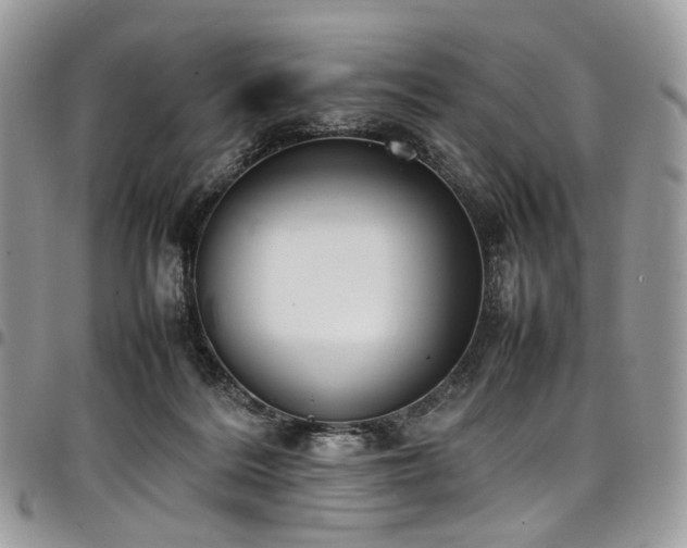 X0000098020220200803281341