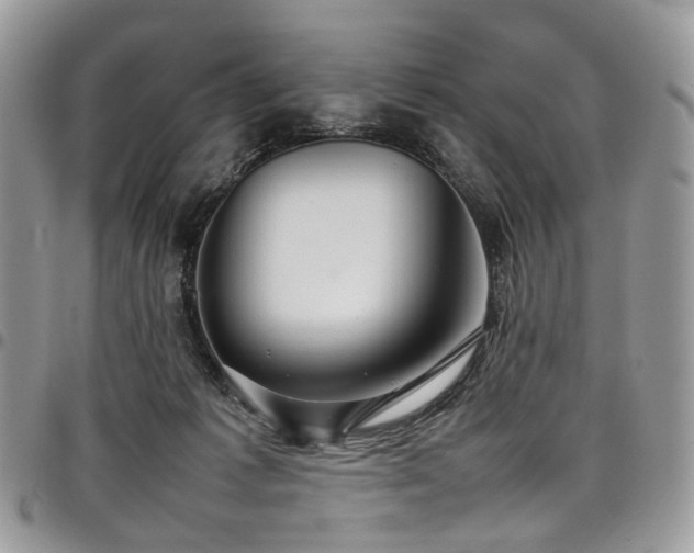 X0000098020221200803281341