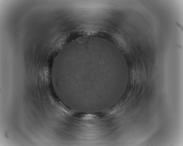 X0000098020222200803281341