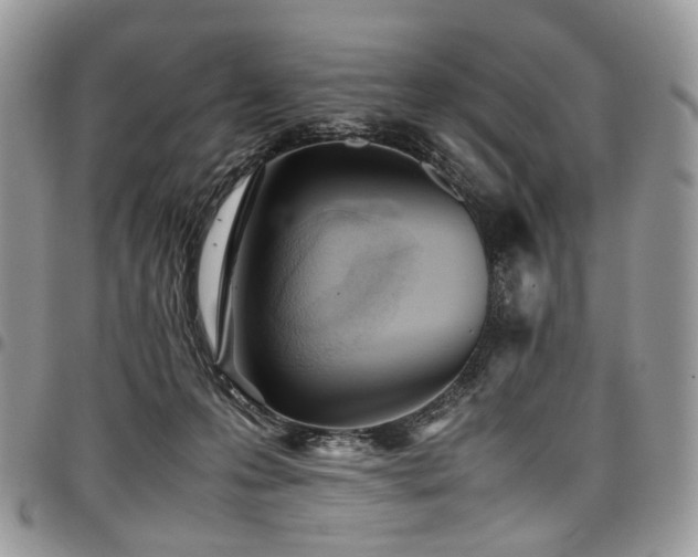 X0000098020223200803281341