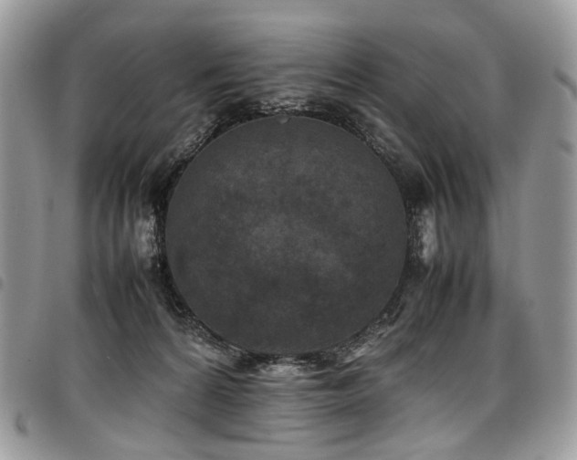 X0000098020224200803281341