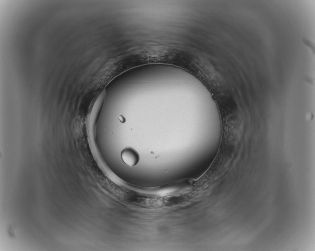 X0000098020225200803281341