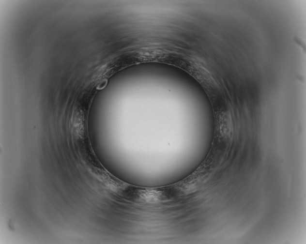 X0000098020226200803281341