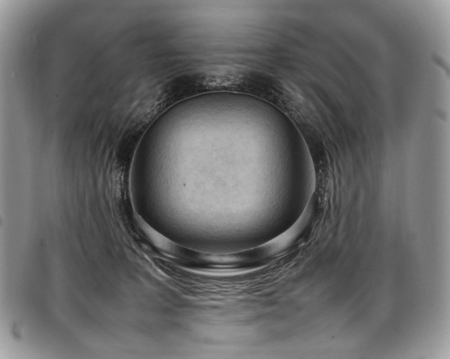 X0000098020227200803281341