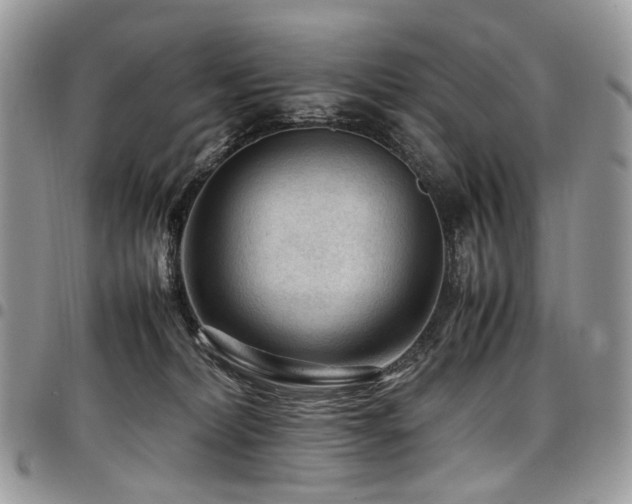 X0000098020228200803281341