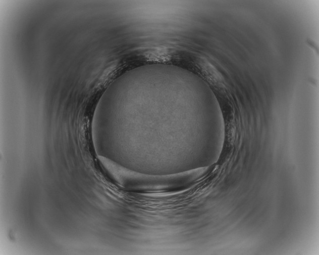 X0000098020229200803281341