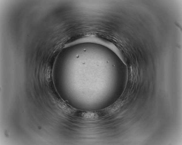 X0000098020230200803281341