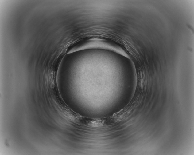 X0000098020232200803281341