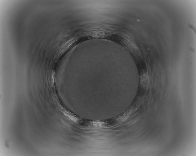 X0000098020233200803281341