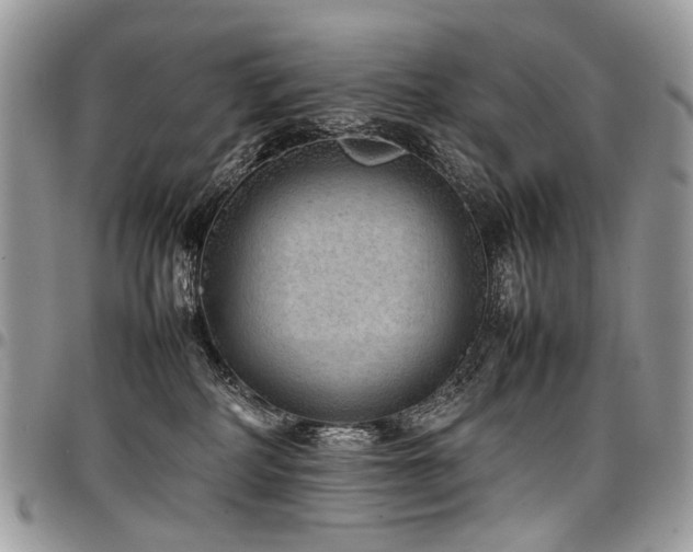 X0000098020234200803281341