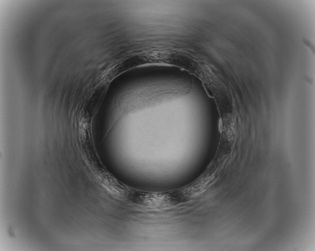 X0000098020235200803281341