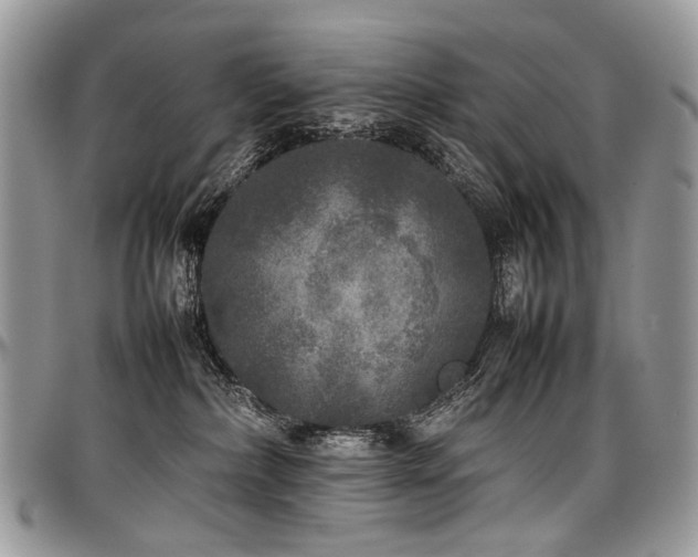 X0000098020236200803281341