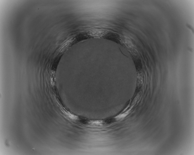 X0000098020237200803281341