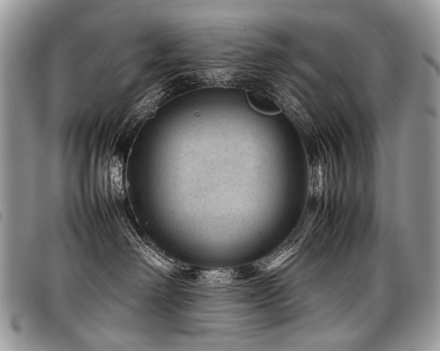 X0000098020238200803281341