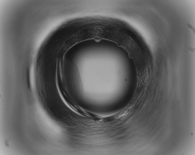 X0000098020239200803281341