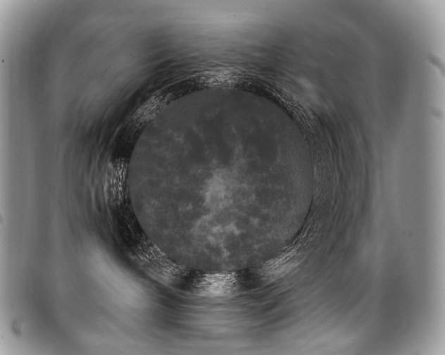 X0000098020240200803281341