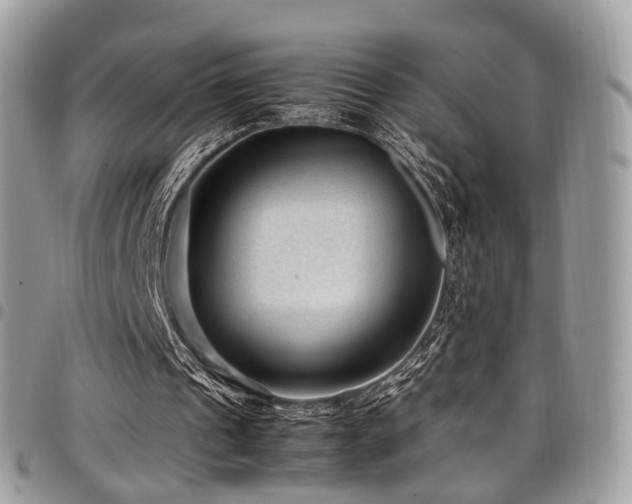 X0000098020241200803281340