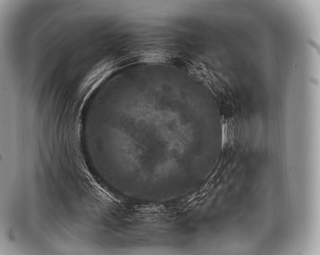 X0000098020243200803281340