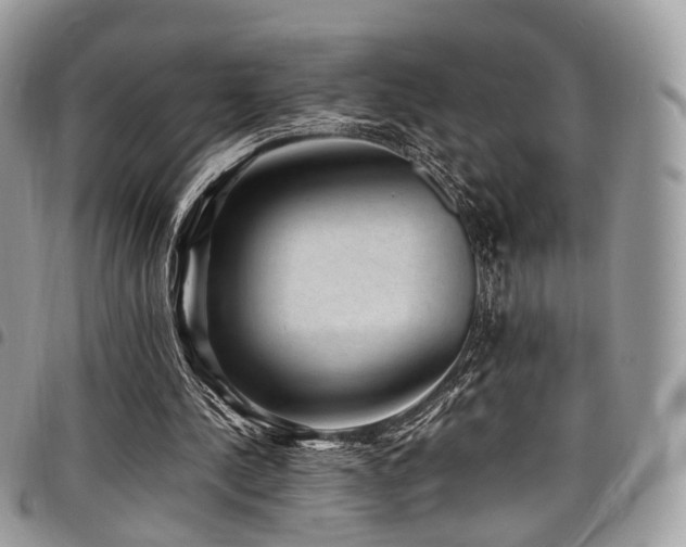 X0000098020244200803281340