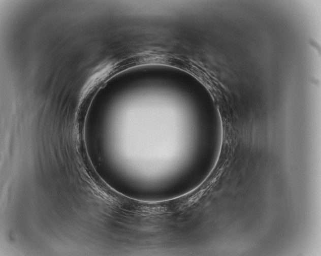 X0000098020245200803281340