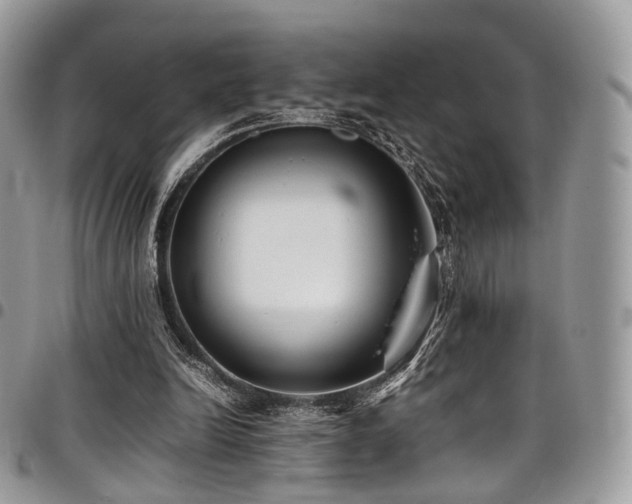 X0000098020246200803281340