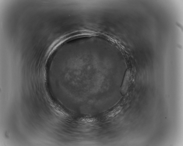 X0000098020247200803281340