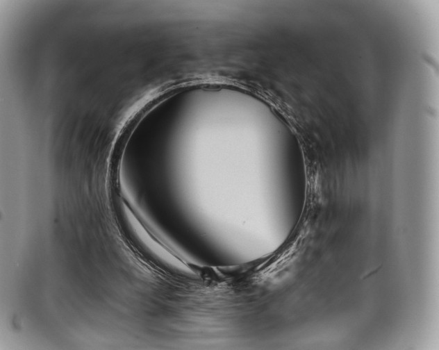 X0000098020248200803281340