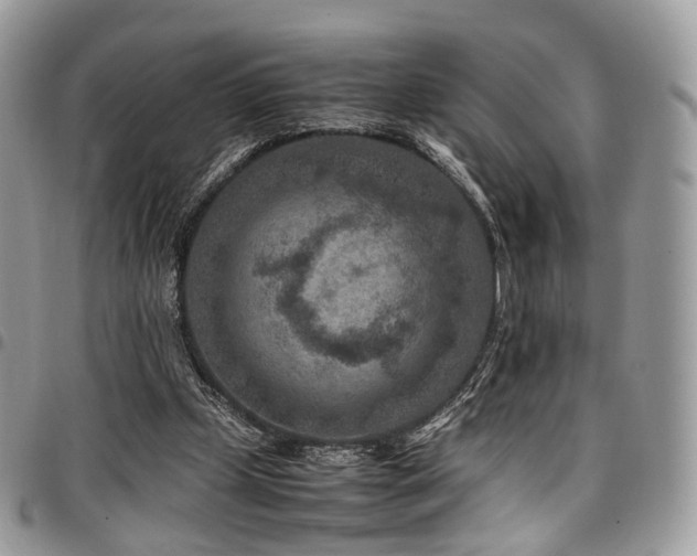 X0000098020249200803281340