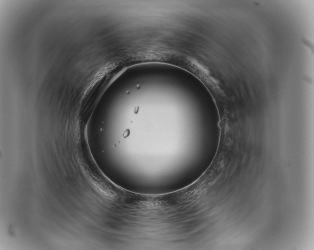 X0000098020250200803281340